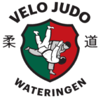 Judo eindeseizoensparty